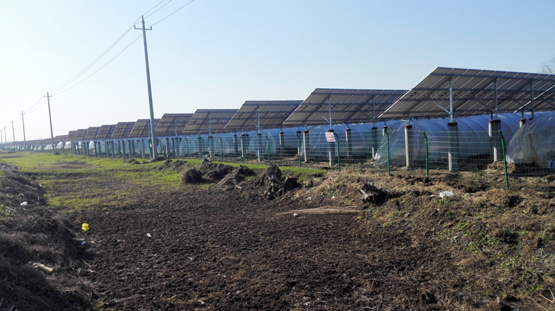 灌南宏耀環(huán)保17MW農(nóng)光互補光伏發(fā)電項目位于縣經(jīng)濟開發(fā)區(qū)_江蘇文明網(wǎng)