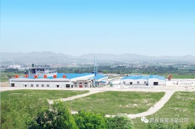 豪洋新型建材科技開(kāi)發(fā)榮獲山西省五一勞動(dòng)獎(jiǎng)